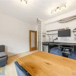 Rent 2 bedroom apartment in Praha 3