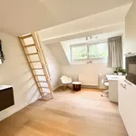 Rent 1 bedroom apartment in Leuven