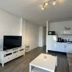 Studio of 44 m² in 3817KA Amersfoort