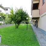 Rent 1 bedroom apartment of 36 m² in Lodi