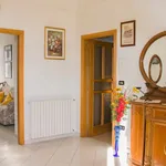 Rent 3 bedroom apartment of 80 m² in Rocca San Giovanni