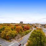  appartement avec 1 chambre(s) en location à Montreal