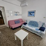 Rent 3 bedroom apartment of 85 m² in Roma