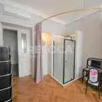 Rent 3 bedroom apartment of 119 m² in Capital City of Prague