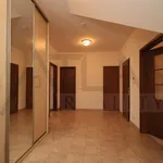 Rent 3 bedroom apartment of 110 m² in Prague