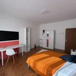 Rent a room in trento