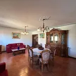 Rent 5 bedroom house of 140 m² in Parma