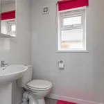 Rent 1 bedroom house in Newcastle-under-Lyme