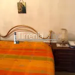 Rent 2 bedroom apartment of 45 m² in Pisa