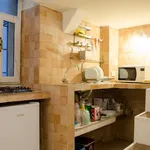 Rent 1 bedroom apartment of 33 m² in rome