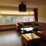 Rent 2 bedroom apartment of 110 m² in Gent