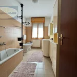 Rent 2 bedroom apartment in Molinella