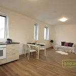 Rent 1 bedroom apartment in Vyškov