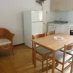 Rent 1 bedroom apartment of 28 m² in Novara