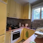 Rent 4 bedroom house of 208 m² in Κηφισιά