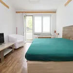 Pronajměte si 2 ložnic/e byt o rozloze 54 m² v Karlovy Vary