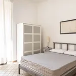 Rent 1 bedroom apartment in rome