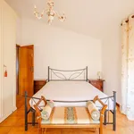 Rent 3 bedroom apartment of 68 m² in Pistoia