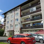 Rent 1 bedroom apartment of 39 m² in Hartmanice