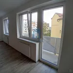 Rent 1 bedroom apartment in Plzeň