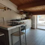 Rent 3 bedroom apartment of 70 m² in Alba Adriatica