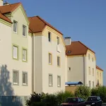 Rent 2 bedroom apartment of 57 m² in Neue Siedlung