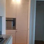 Rent 2 bedroom apartment of 53 m² in Rome