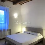 Rent 1 bedroom apartment in Siena