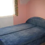 Rent 1 bedroom apartment of 45 m² in Postřelmov