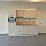 Huur 1 slaapkamer appartement in DENDERMONDE