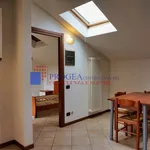 Rent 2 bedroom apartment of 40 m² in Albano Sant'Alessandro