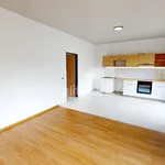 Rent 2 bedroom apartment in Pelhřimov