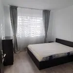 Rent 2 bedroom apartment in Lovnic