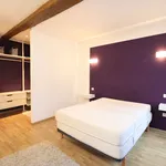 Rent 3 bedroom apartment of 60 m² in castres