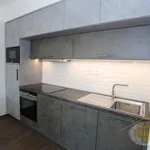 Rent 2 bedroom apartment in Capital City of Prague