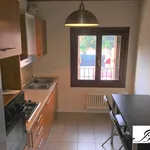 Rent 5 bedroom apartment of 95 m² in Vicenza