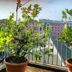 Rent 4 bedroom apartment of 130 m² in Rome