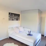 Rent 1 bedroom apartment in Coventry