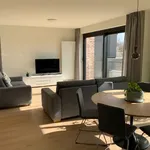 Rent 2 bedroom apartment in Wieze