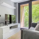 Rent 1 bedroom apartment of 33 m² in lisbon