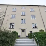 Rent 2 bedroom apartment of 42 m² in Chemnitz