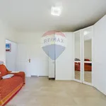 Rent 2 bedroom apartment of 70 m² in Formello