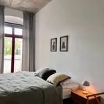 Miete 2 Schlafzimmer wohnung von 50 m² in Görlitz