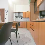 Rent 5 bedroom apartment of 90 m² in Bologna