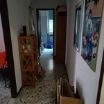 Rent 3 bedroom apartment of 75 m² in Alessandria