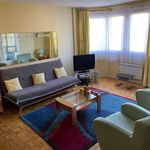 Appartement de 740 m² avec 1 chambre(s) en location à Lyon