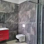 Rent 2 bedroom apartment of 65 m² in Turin