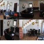 Rent 1 bedroom apartment in Malaga']