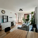 Rent 2 bedroom apartment of 56 m² in Krakow