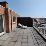 Rent 1 bedroom apartment in Mol